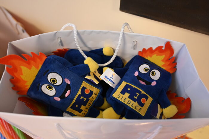 nagrody dla laureatów konkursu - firmowa maskotka Pecyk